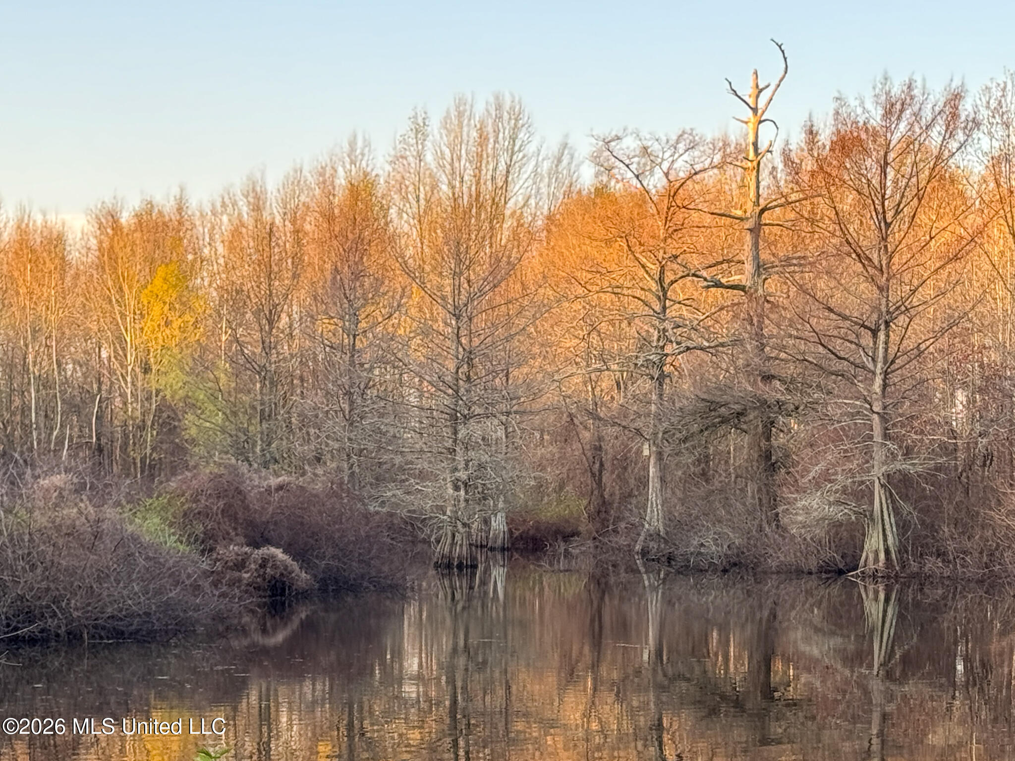 0 Dummyline Road Batesville, MS 38606 - Photo 9 of 73 Panola 164.7 SPI Land Ventures-8