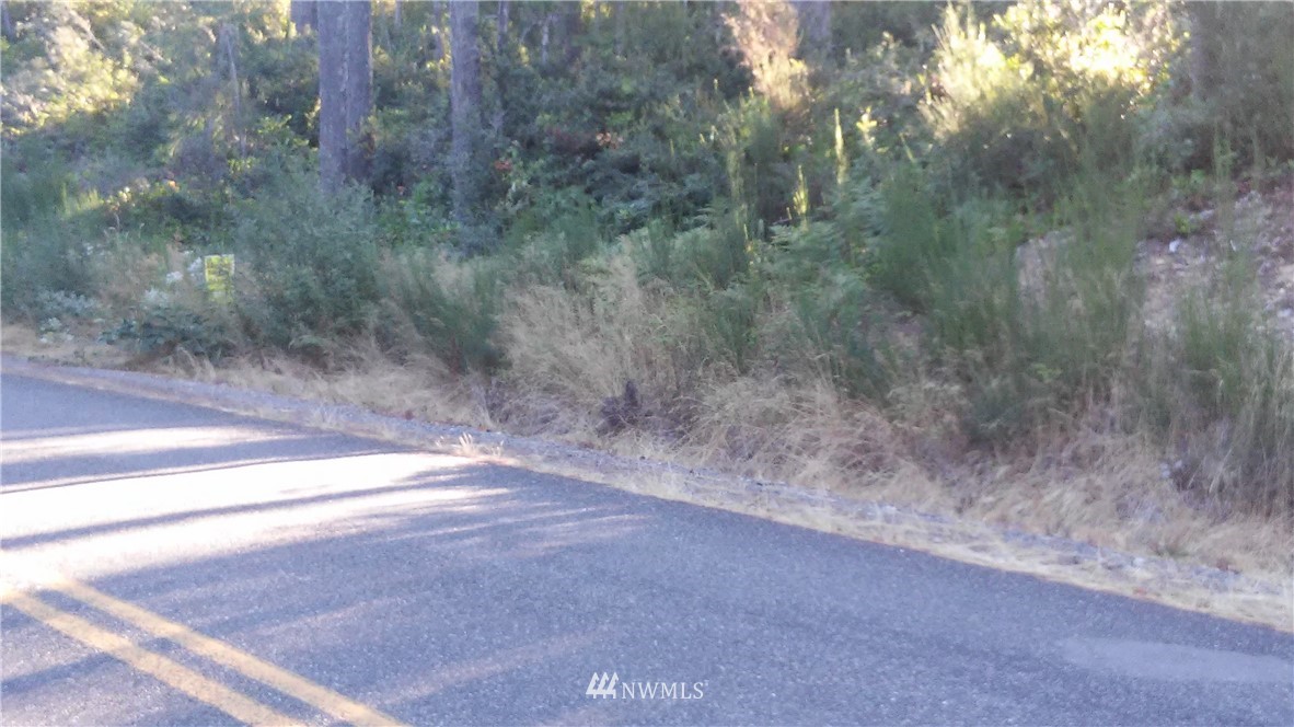 0 East Rasor Road West Belfair, WA 98528 - Photo 2 of 2 Gallery Image 2