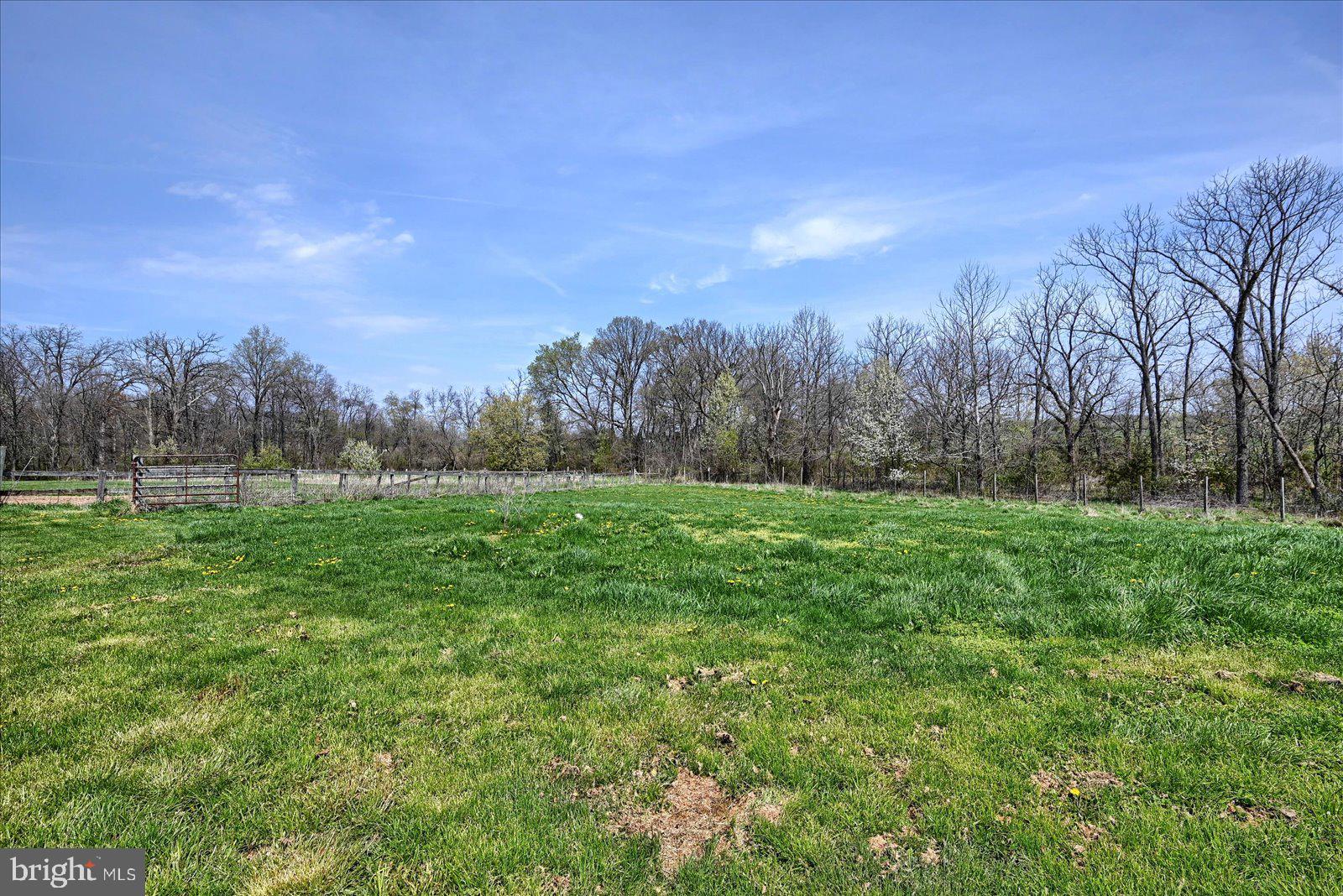 1144 Centennial Road New Oxford, PA 17350 - Photo 34 of 40 a view of a grassy field with trees in the background