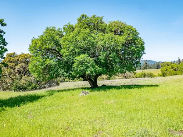 $795,000 | 16101 Lost Creek Road, Yorkville, CA 95494