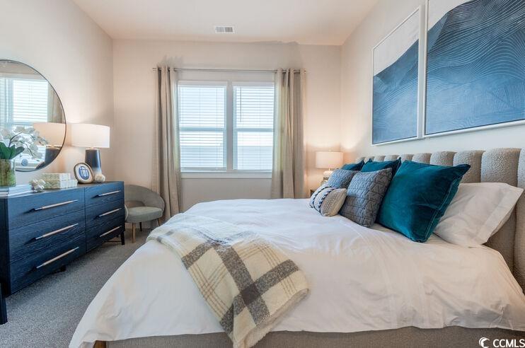 8840 Henry Road, Unit INDIGO Longs, SC 29568 - Photo 13 of 29