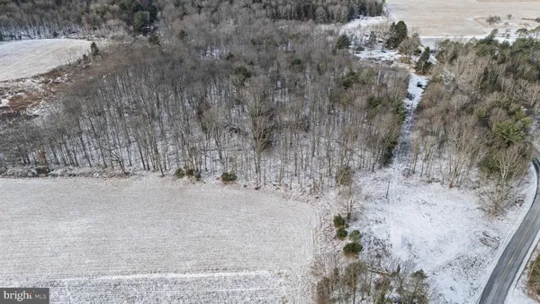 a view of a dry yard with trees
