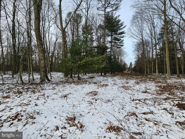 a view of a yard with a snow