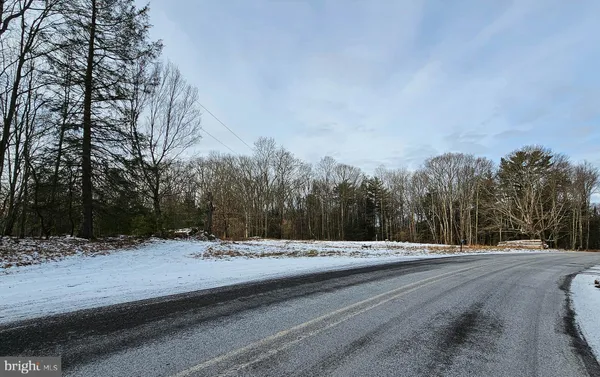 a view of a road with trees