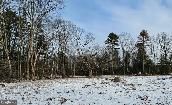 a view of a yard covered in snow
