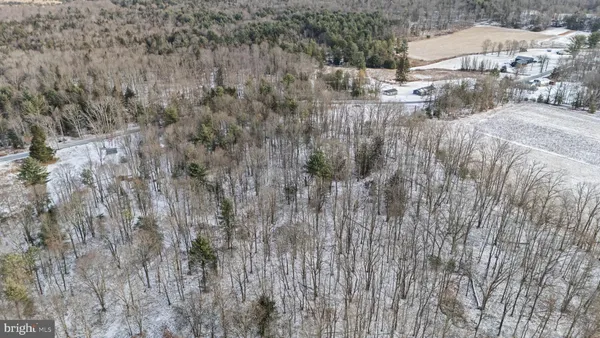 a view of a yard with trees