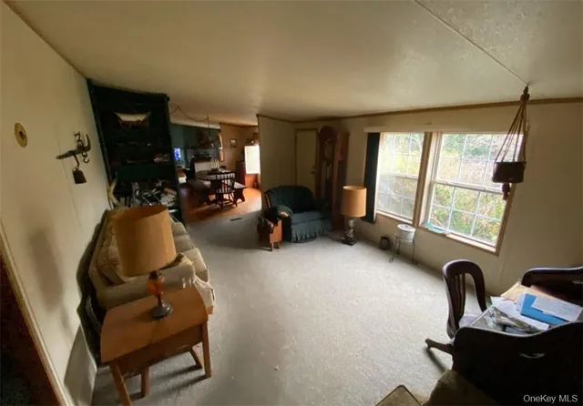 a view of a livingroom with furniture and a window