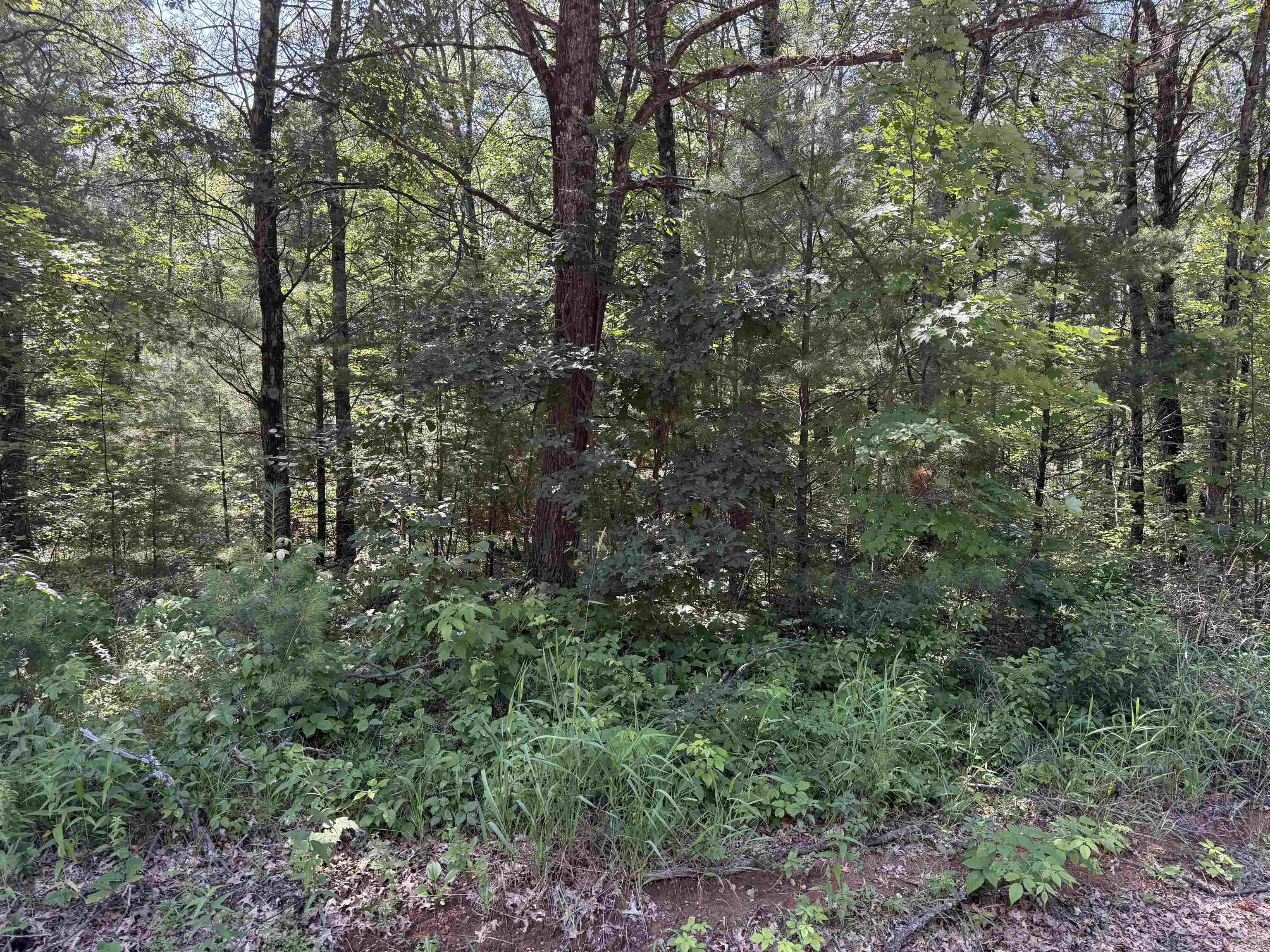 W2185 Otter Ponds Road, Unit 55 Keshena, WI 54135 - Photo 1 of 1 Gallery Image 1