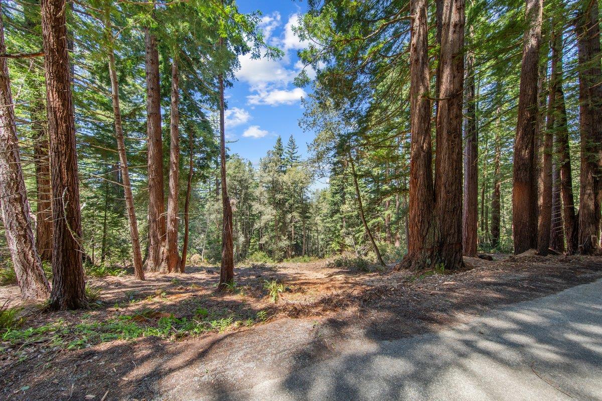 0 Native Sons Road Redwood City, CA 94062 - Photo 19 of 28