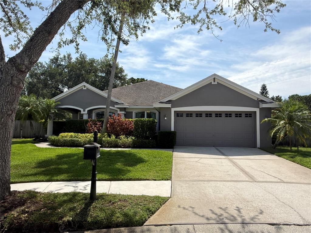 10501 Rochester Way Tampa, FL 33626 - Photo 41 of 45