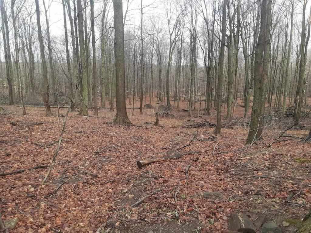 38-acres East Hazel Road Mears, MI 49436 - Photo 1 of 12