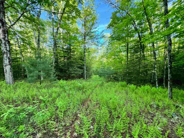 $319,900 | 0 Slate Ledge Road, Littleton, NH 03561