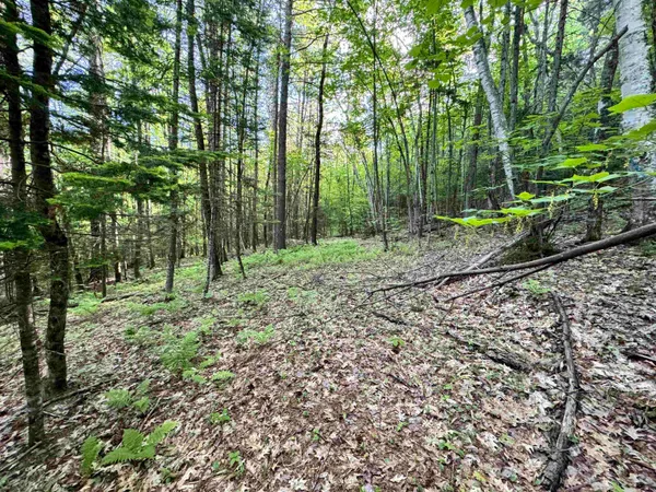 $319,900 | 0 Slate Ledge Road, Littleton, NH 03561