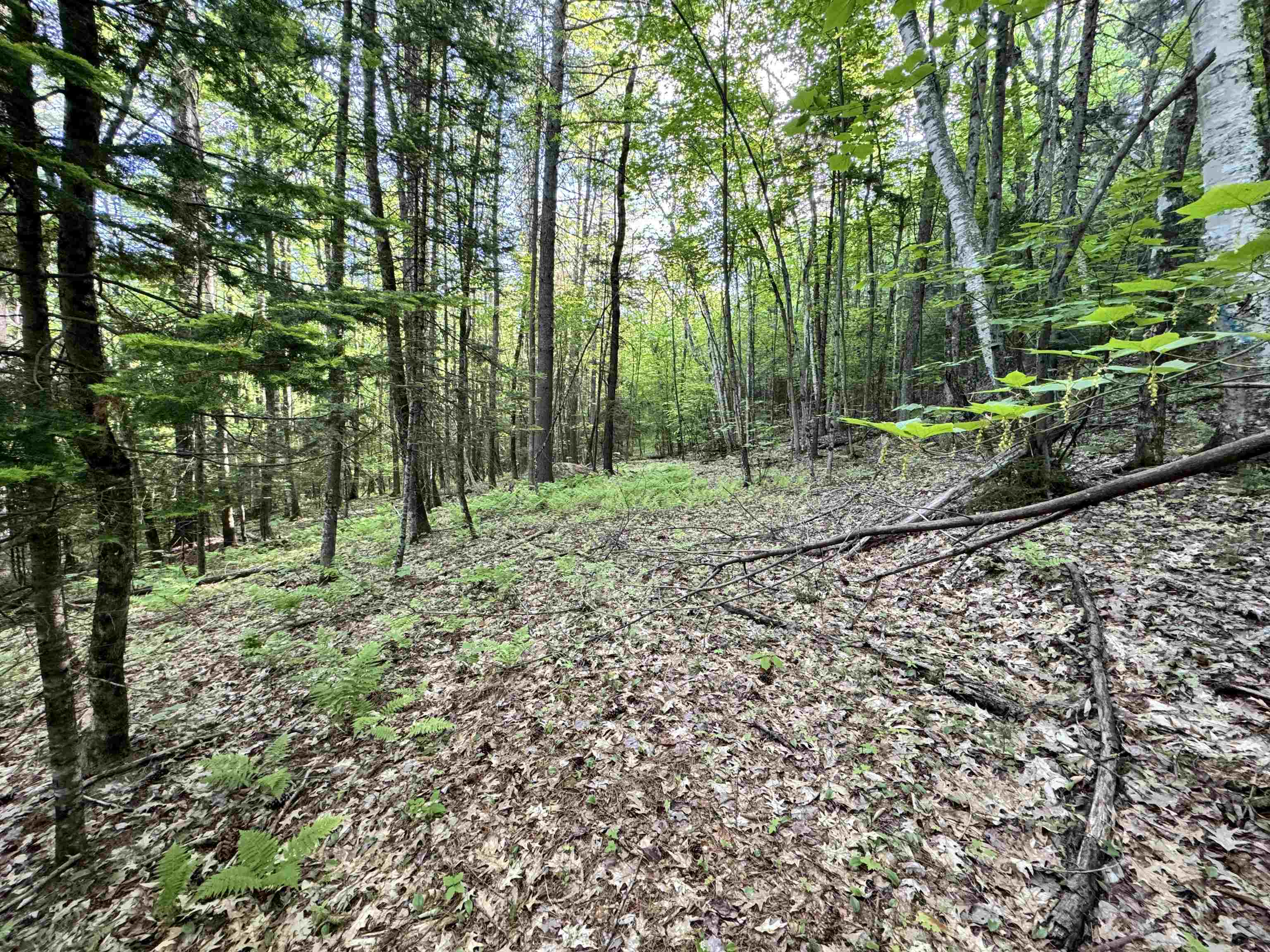 0 Slate Ledge Road Littleton, NH 03561 - Photo 17 of 31