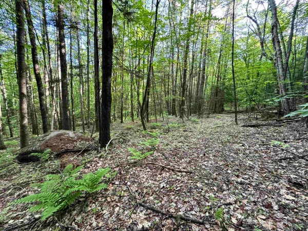 $319,900 | 0 Slate Ledge Road, Littleton, NH 03561