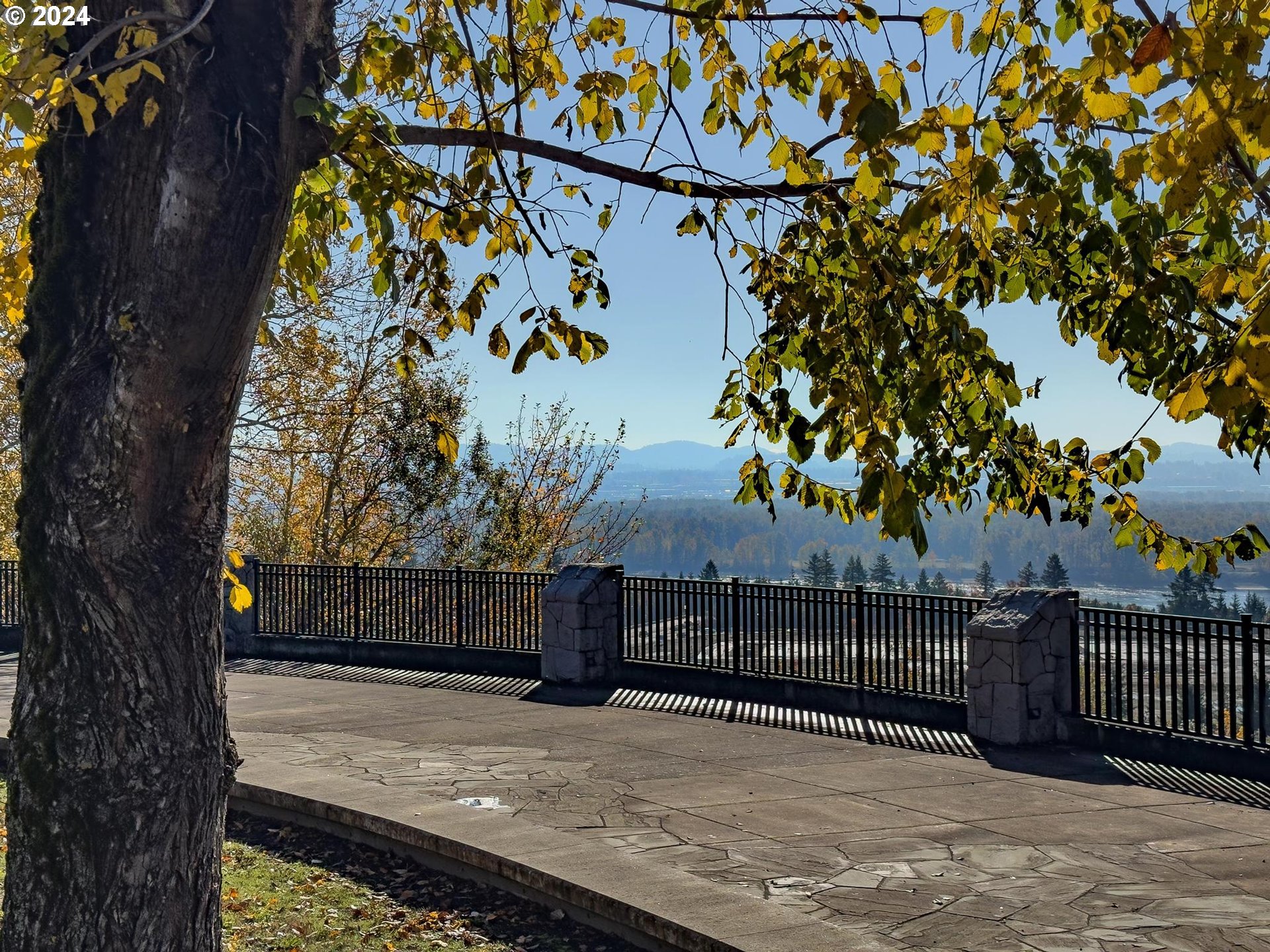 4402 Southeast Ascension Drive Camas, WA 98607 - Photo 13 of 21