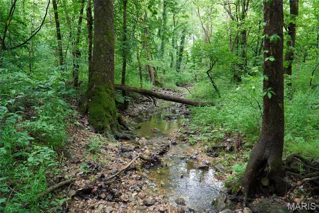 $599,000 | 1 Topaz, Richland, MO 65556