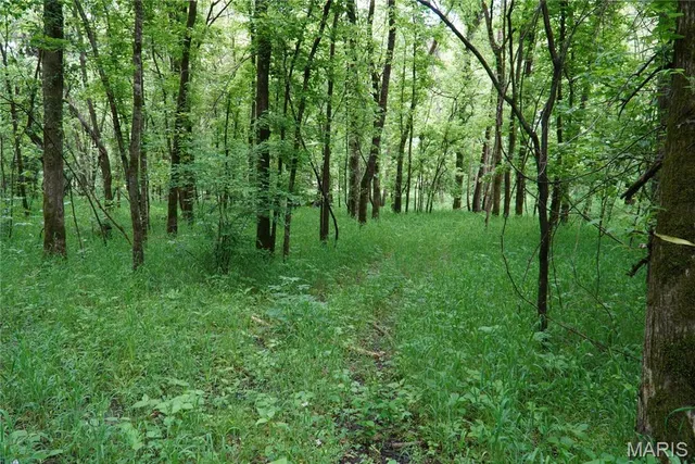 $599,000 | 1 Topaz, Richland, MO 65556