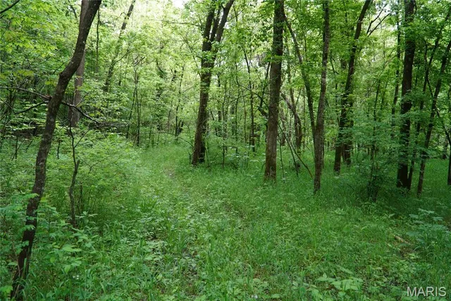 $599,000 | 1 Topaz, Richland, MO 65556