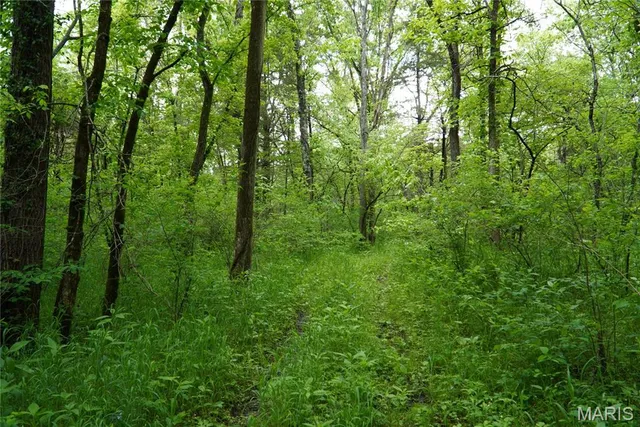 $599,000 | 1 Topaz, Richland, MO 65556