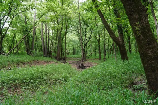 $599,000 | 1 Topaz, Richland, MO 65556