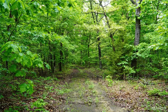 $599,000 | 1 Topaz, Richland, MO 65556