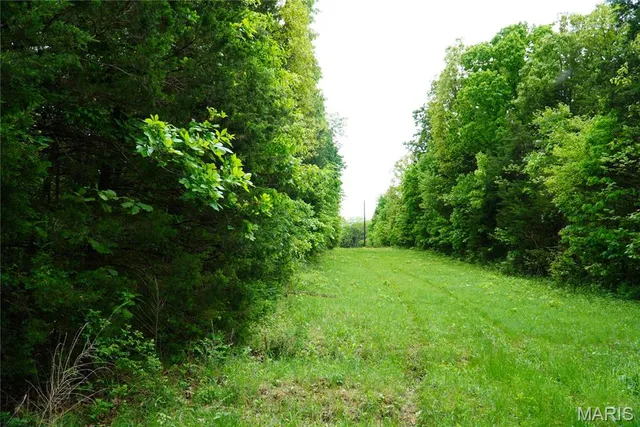 $599,000 | 1 Topaz, Richland, MO 65556