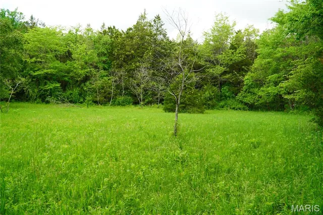 $599,000 | 1 Topaz, Richland, MO 65556