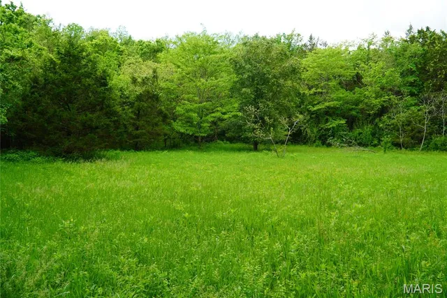 $599,000 | 1 Topaz, Richland, MO 65556