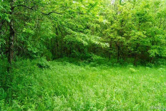 $599,000 | 1 Topaz, Richland, MO 65556