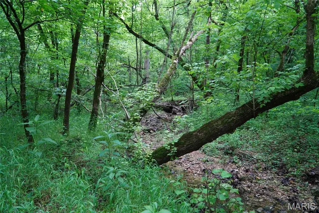 $599,000 | 1 Topaz, Richland, MO 65556