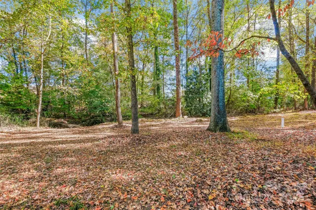 a view of a tree in the middle of a yard