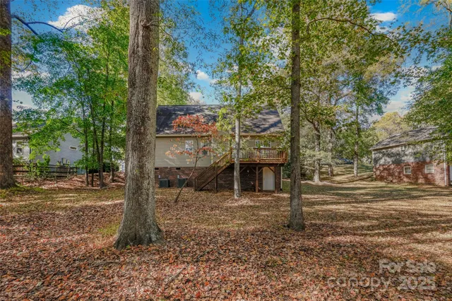 a view of a street with a tree