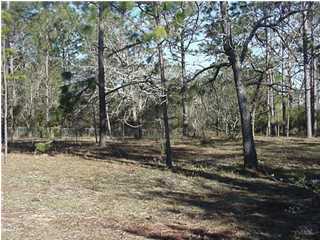 0 Forrest Avenue Crestview, FL 32539 - Photo 1 of 2 Primary Photo
