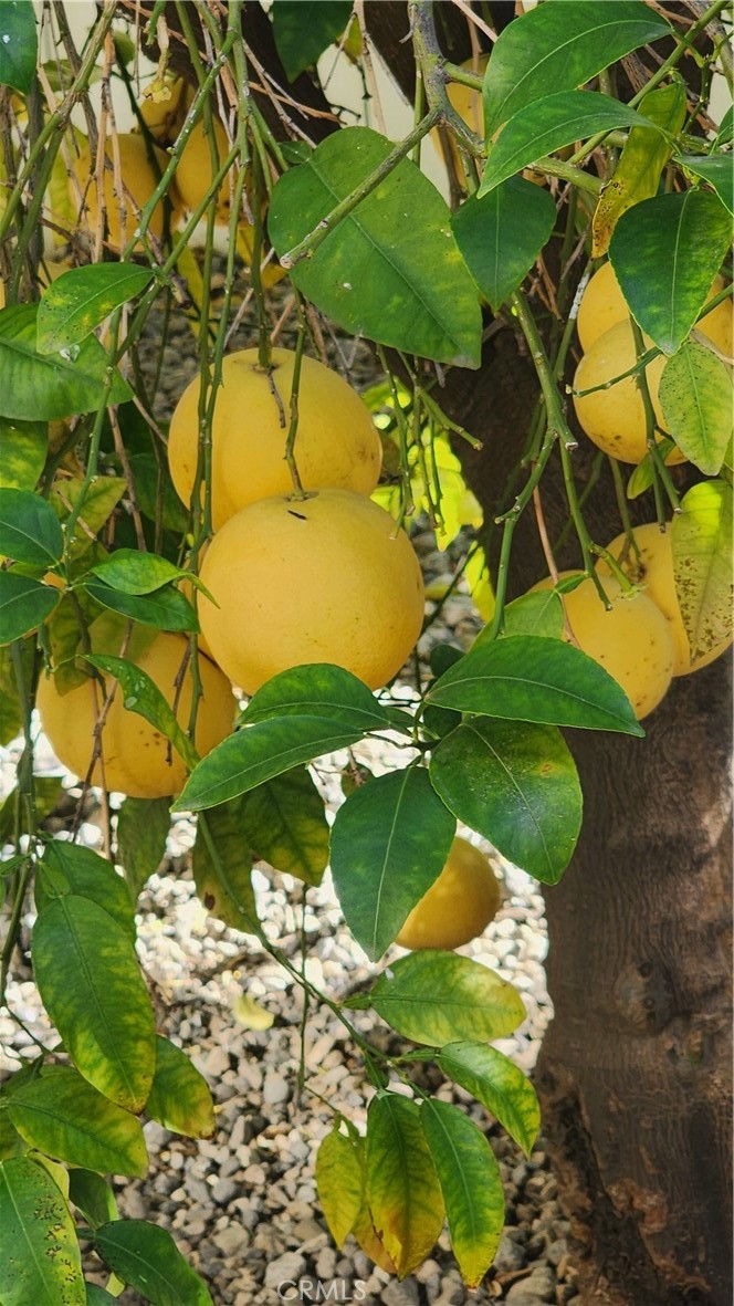 26573 Braddock Road Menifee, CA 92586 - Photo 24 of 30