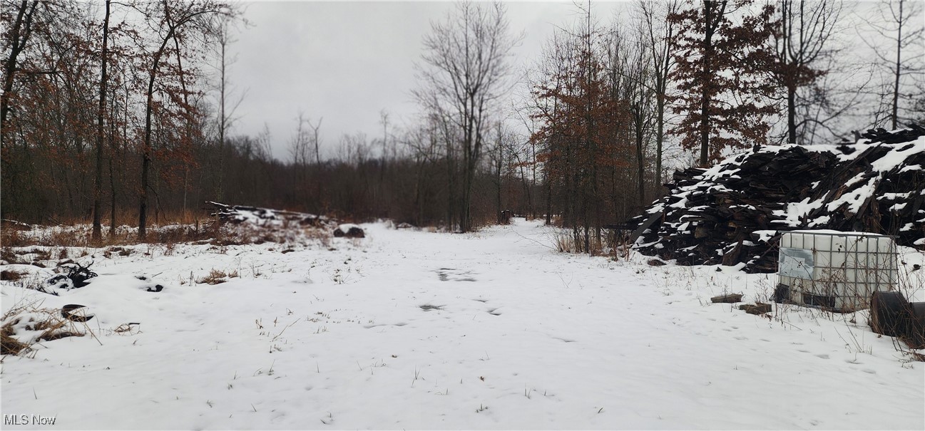 4389 Kincaid Road Warren, OH 44481 - Photo 26 of 33 View of yard layered in snow