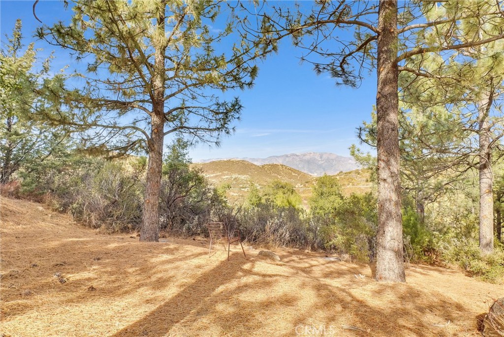 48085 Twin Pines Road Banning, CA 92220 - Photo 8 of 45