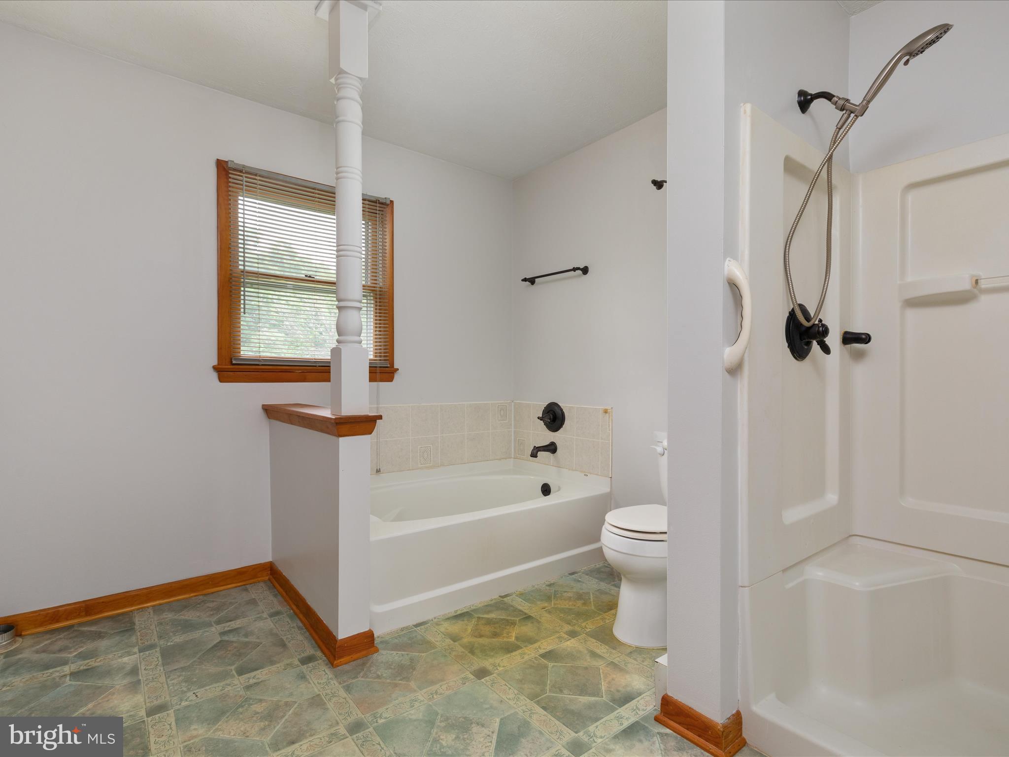 13970 Back Road Strasburg, VA 22657 - Photo 15 of 68 a bathroom with a toilet a sink and a bathtub