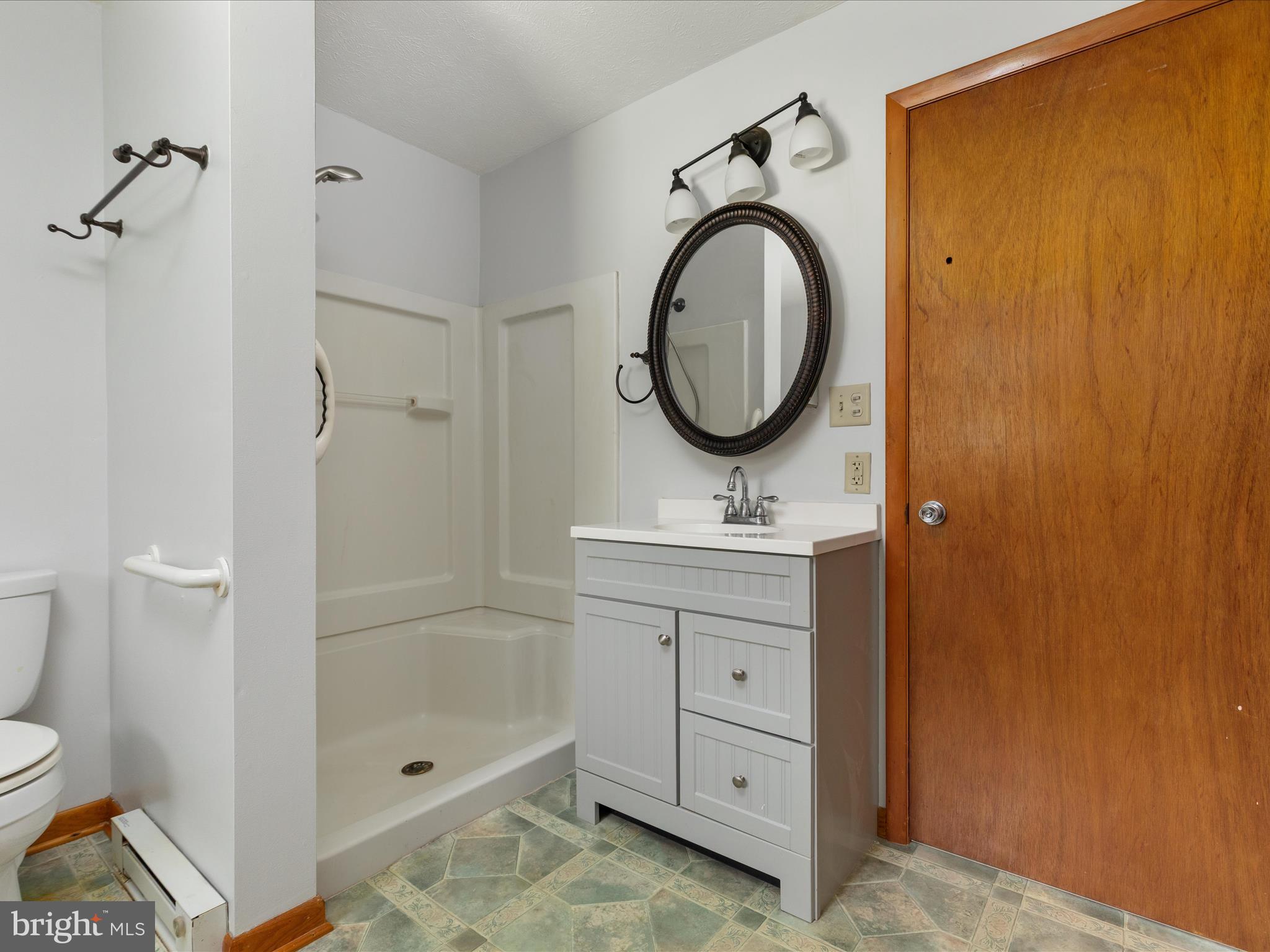 13970 Back Road Strasburg, VA 22657 - Photo 16 of 68 a bathroom with a sink a toilet and a shower