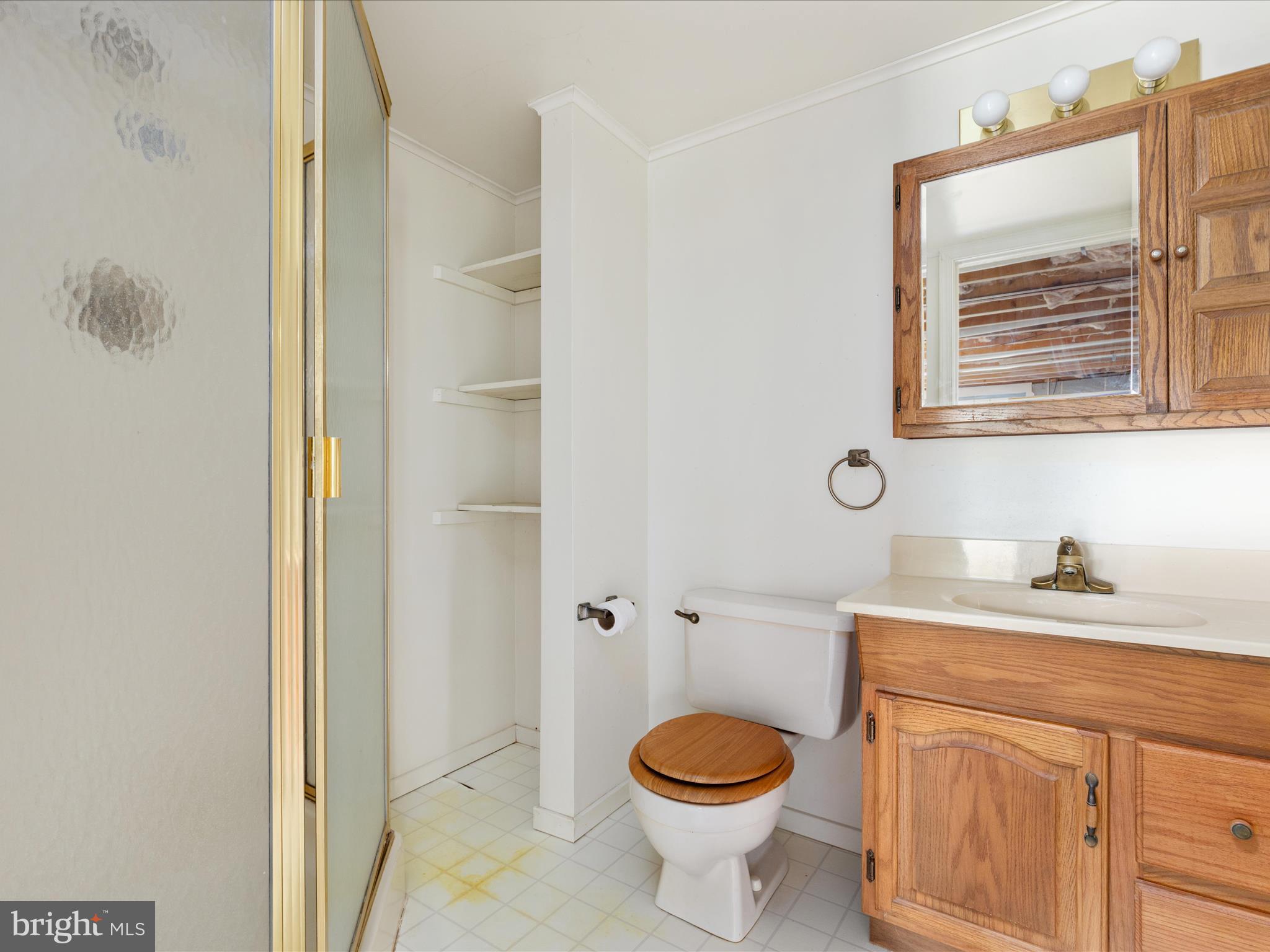 13970 Back Road Strasburg, VA 22657 - Photo 22 of 68 a bathroom with a sink a toilet and a mirror