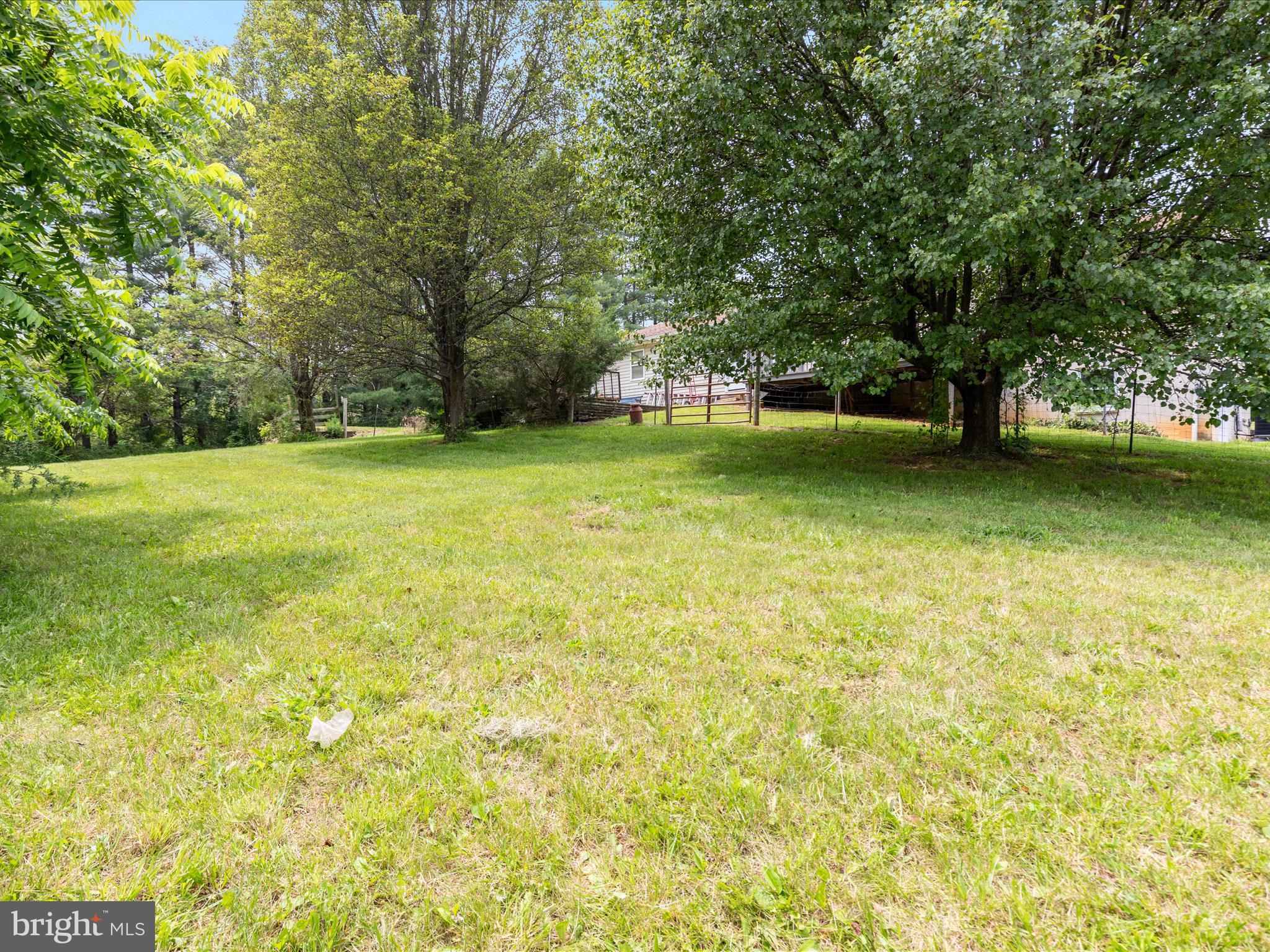 13970 Back Road Strasburg, VA 22657 - Photo 35 of 68 2E7A1170_ 13970 Back Rd - Absolute Altitude - 6