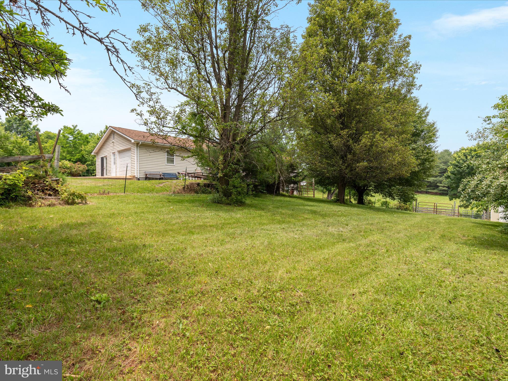 13970 Back Road Strasburg, VA 22657 - Photo 36 of 68 a view of a trees in front of a house with a big yard