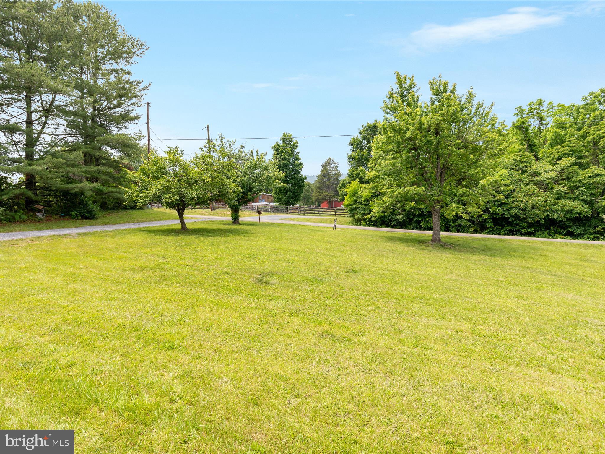 13970 Back Road Strasburg, VA 22657 - Photo 38 of 68 2E7A1173_ 13970 Back Rd - Absolute Altitude - 6