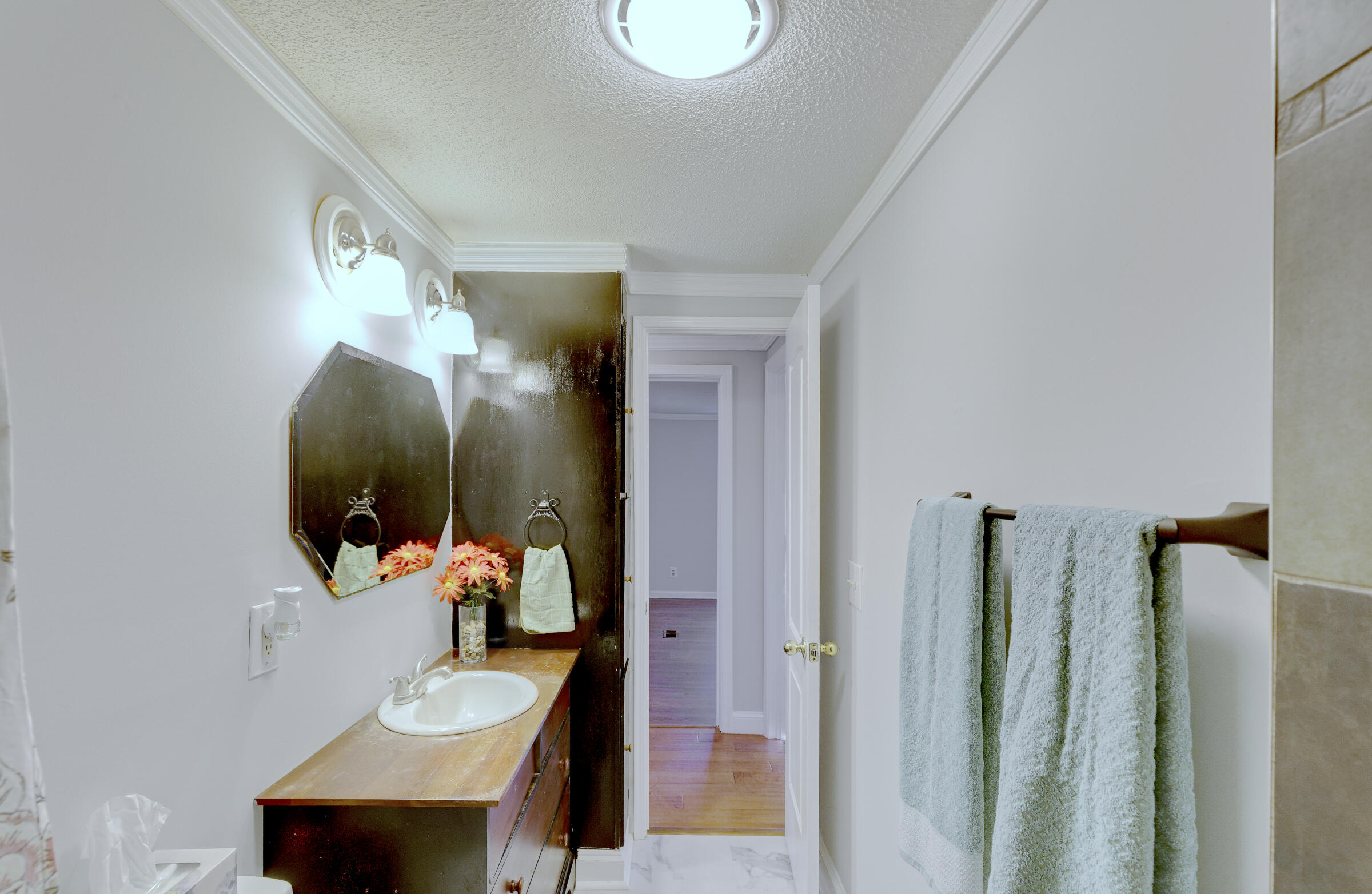 160 Grapevine Road Summerville, SC 29483 - Photo 22 of 44 Shared Hall Bath Vanity