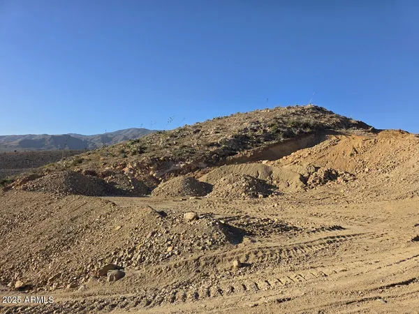 a view of a dry yard