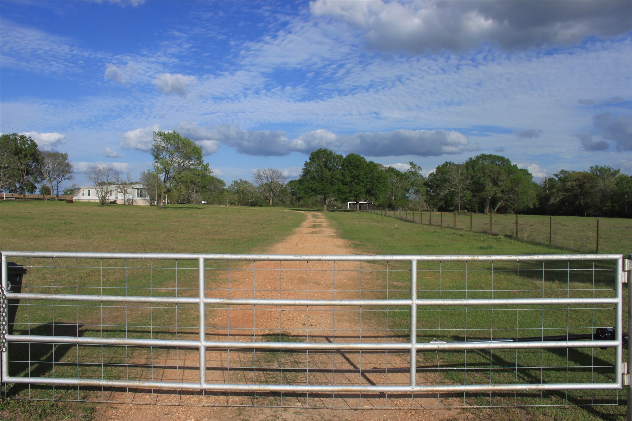 27134 Muckelroy Road Hempstead, TX 77445 - Photo 9 of 9