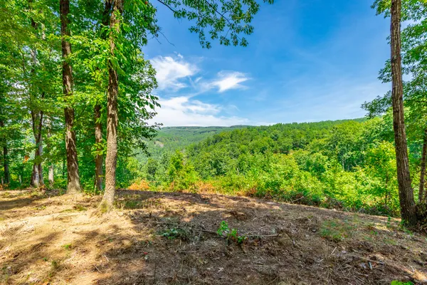 $350,000 | 0 Birds Eye Way, Unit LOT 1060, Guild, TN 37340