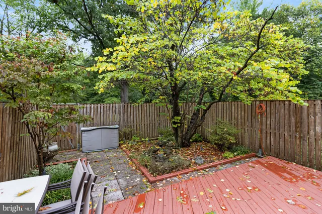 a view of a backyard with plants and tree