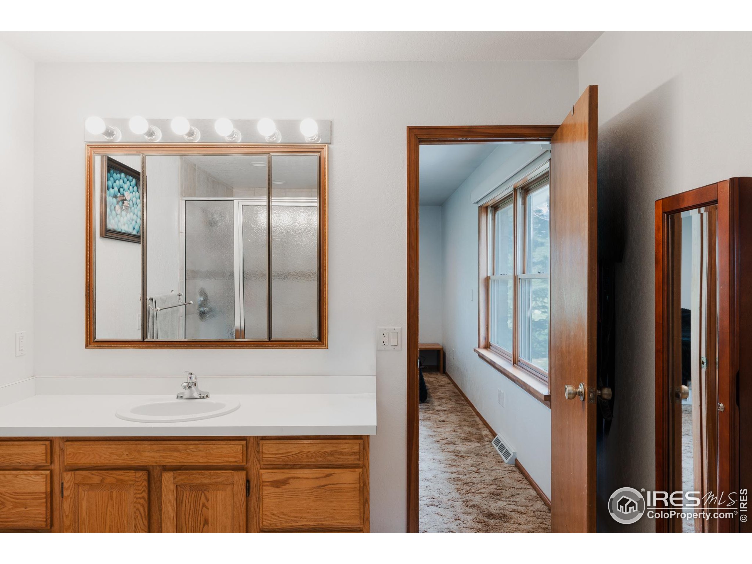 6789 Niwot Road Longmont, CO 80503 - Photo 15 of 28 a bathroom with a sink and a mirror