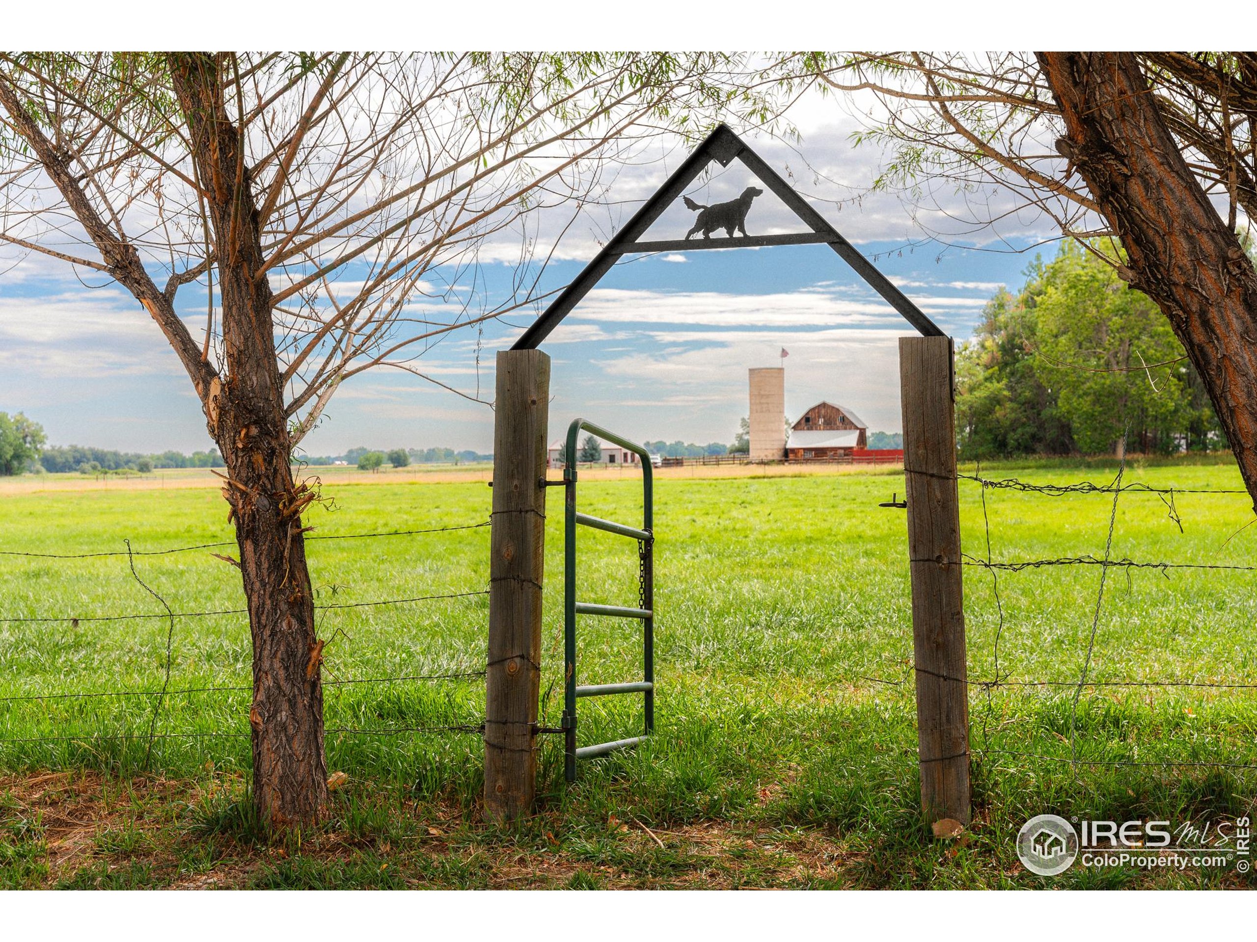 6789 Niwot Road Longmont, CO 80503 - Photo 6 of 28 a view of an outdoor space and yard